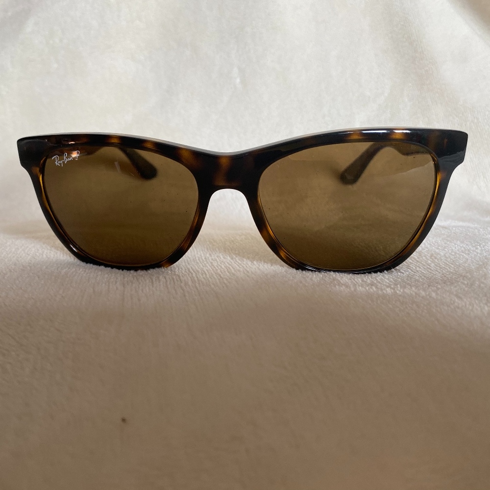 RayBan Wayfarer (polarized)